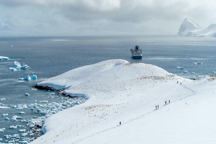 Cuverville Island on the Antarctic Peninsula