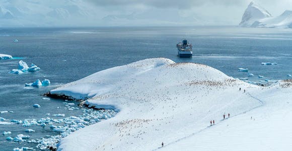 Cuverville Island on the Antarctic Peninsula