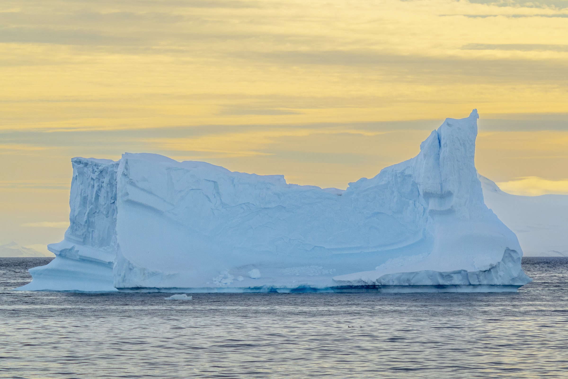 Blue iceberg in Antarctica at sunset