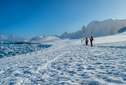 Tourists looking at a gentoo penguin highway on Cuverville Island