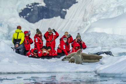 Tourists in a zodiac photograph seals on an ice floe