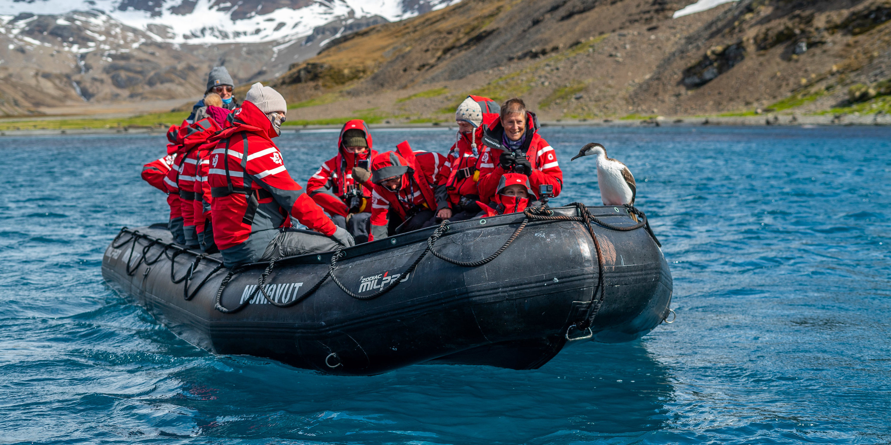 Zodiac cruising at Stromness in South Georgia
