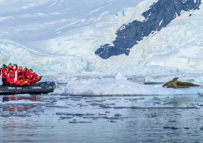 Zodiac of tourists in Antarctica watching a seal on an ice floe