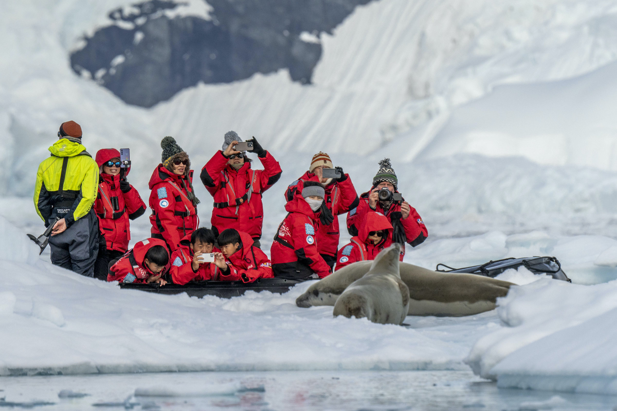 A zodiac full of tourist watching seals in the Antarctic peninsula