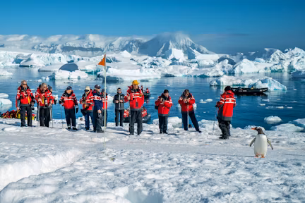A group of tourists watch gentoo penguins using biosecurity guidelines in Antarctica