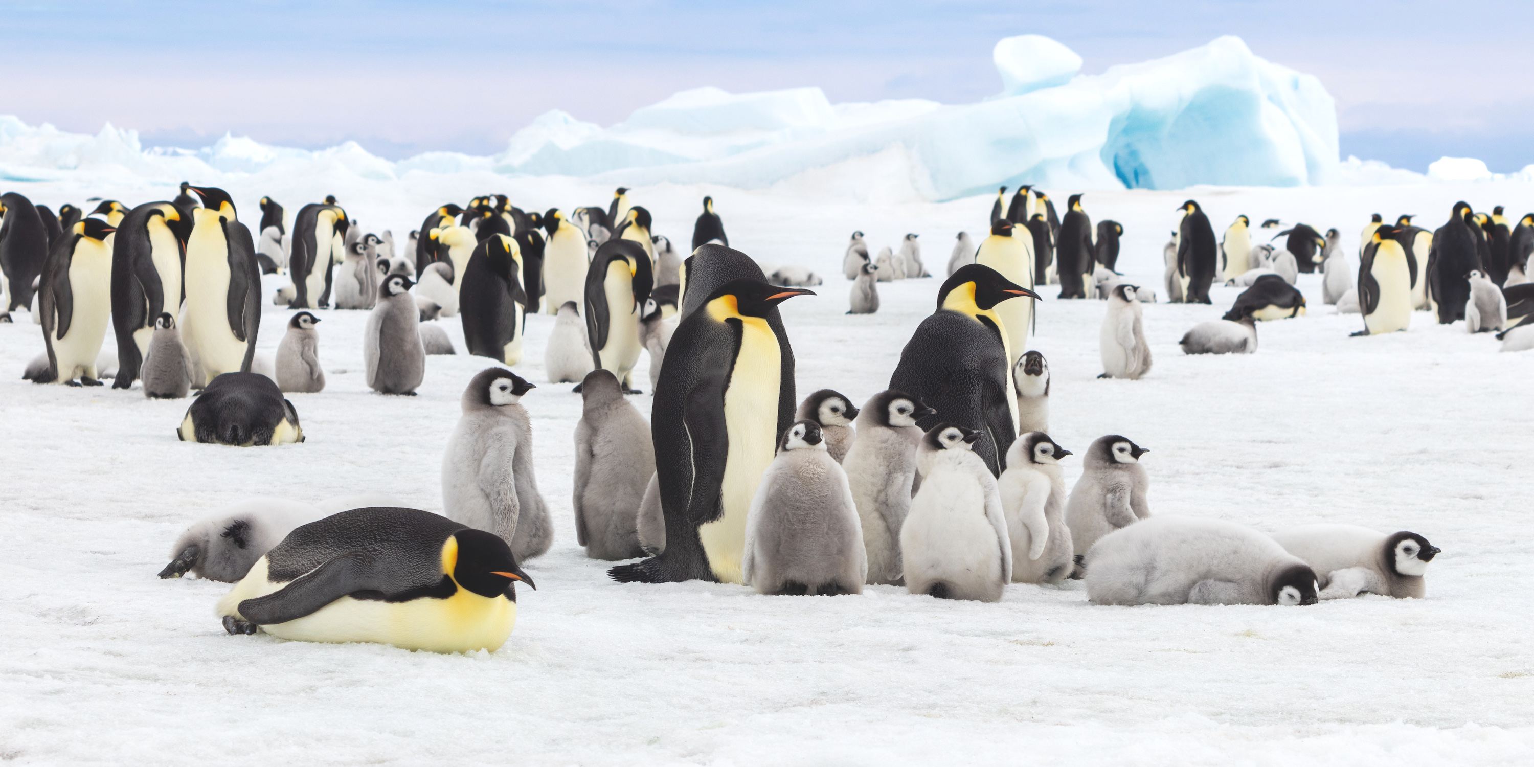 When to go to Antarctica