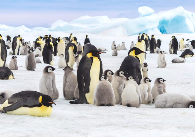 When to go to Antarctica
