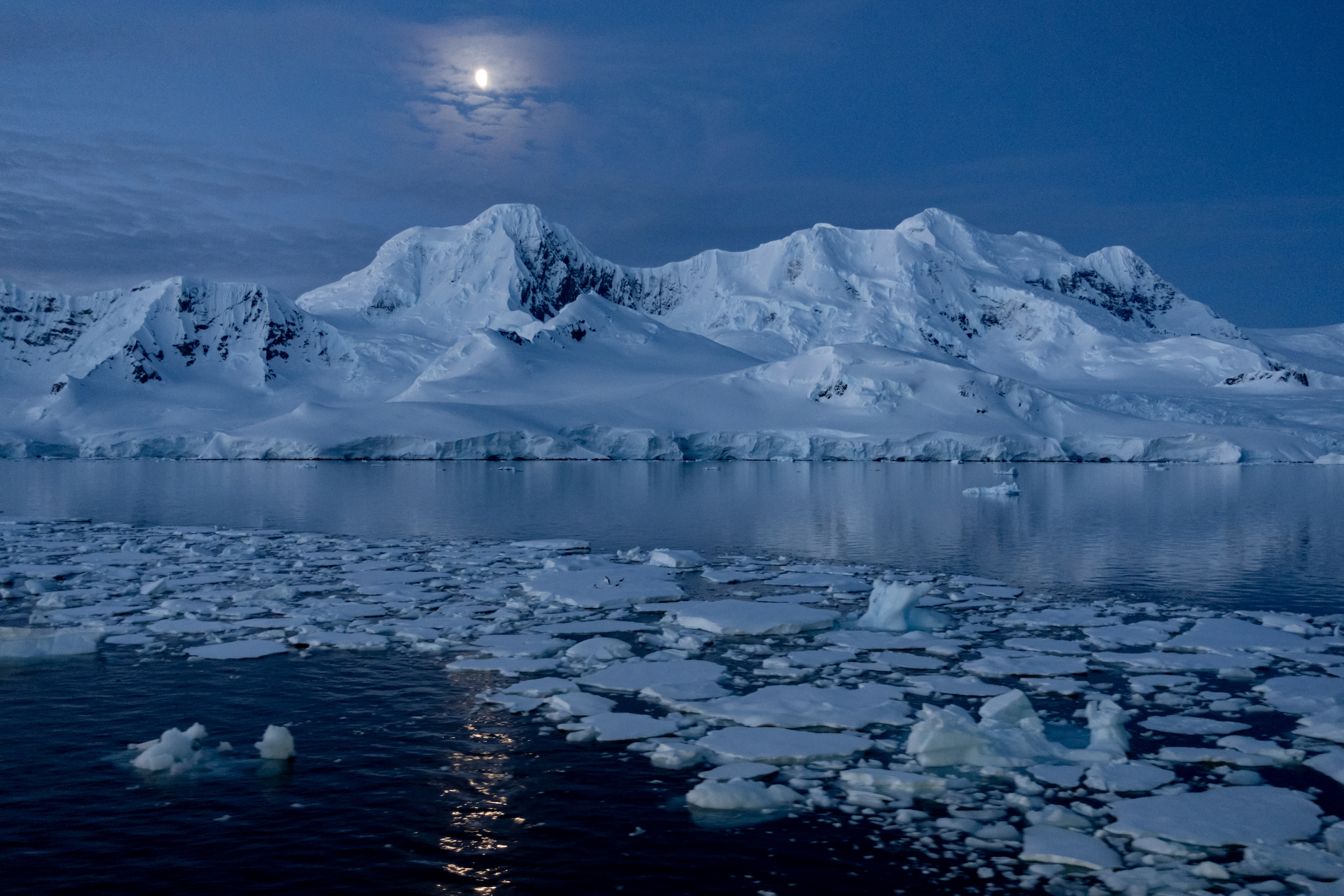 Antarctic coastline in moonlight
