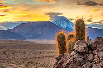 Extend Your Adventure