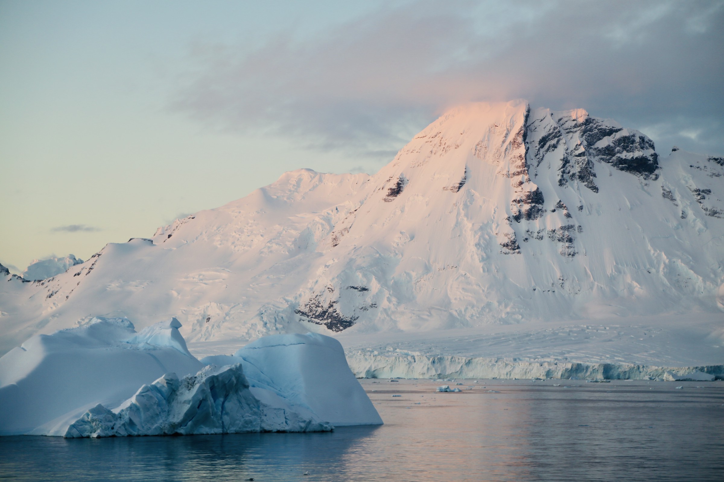 Marguerite By south of the Antarctic Circle