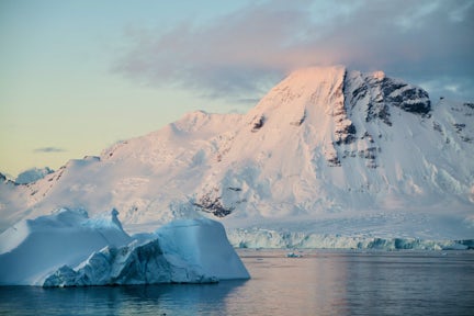 Marguerite By south of the Antarctic Circle