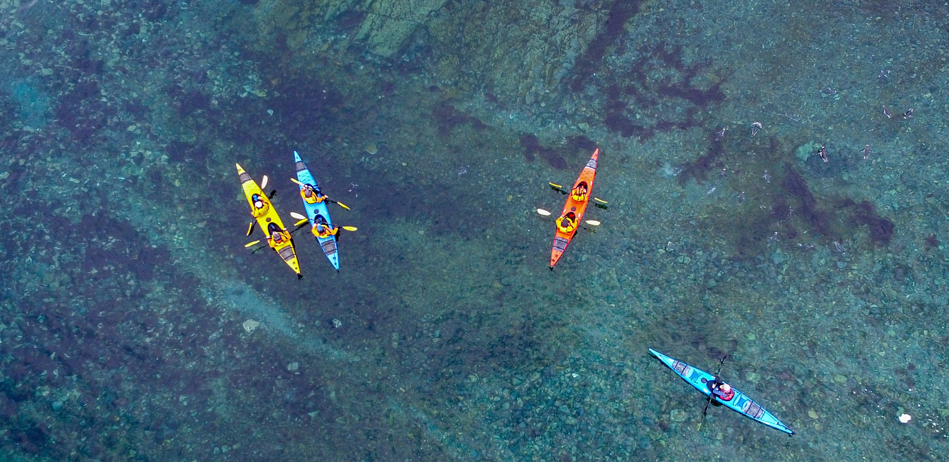 A drone shot of four kayakers in deep greeny-blue Antarctic water