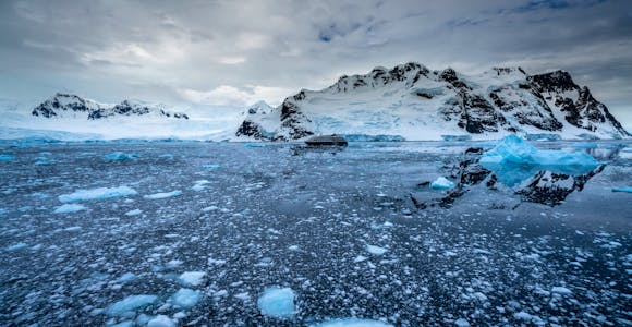 What to expect in Antarctica