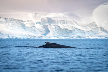 Photography in Antarctica