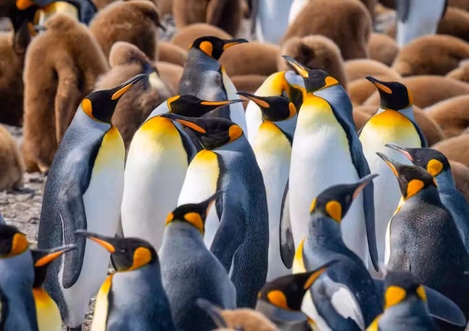 When to go to Antarctica