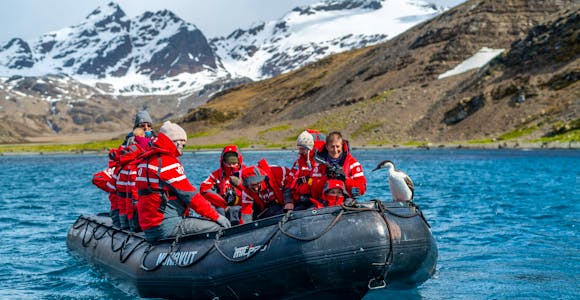 A zodiac boat carrying tourists in red jackets cruises on the blue water of Stromness Harbour on South Georgia island. The tourists look happily at an imperial shag that has landed on the boat. Snowy mountains are in the background.