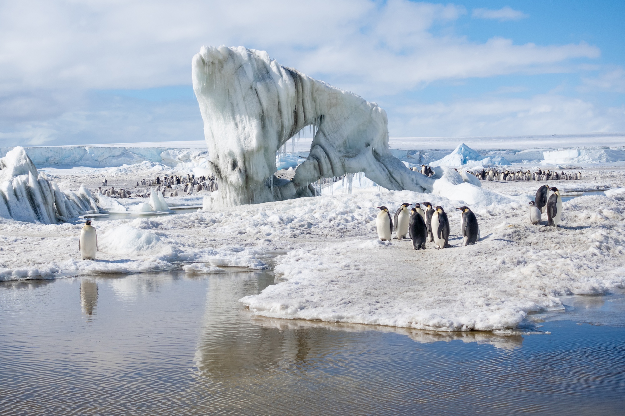 Emperor penguins stand in front of an ice formation at the Snow Hill rookery 