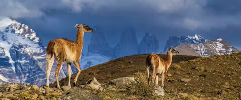 Patagonia & Antarctica In Depth
