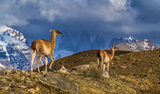 Patagonia & Antarctica In Depth