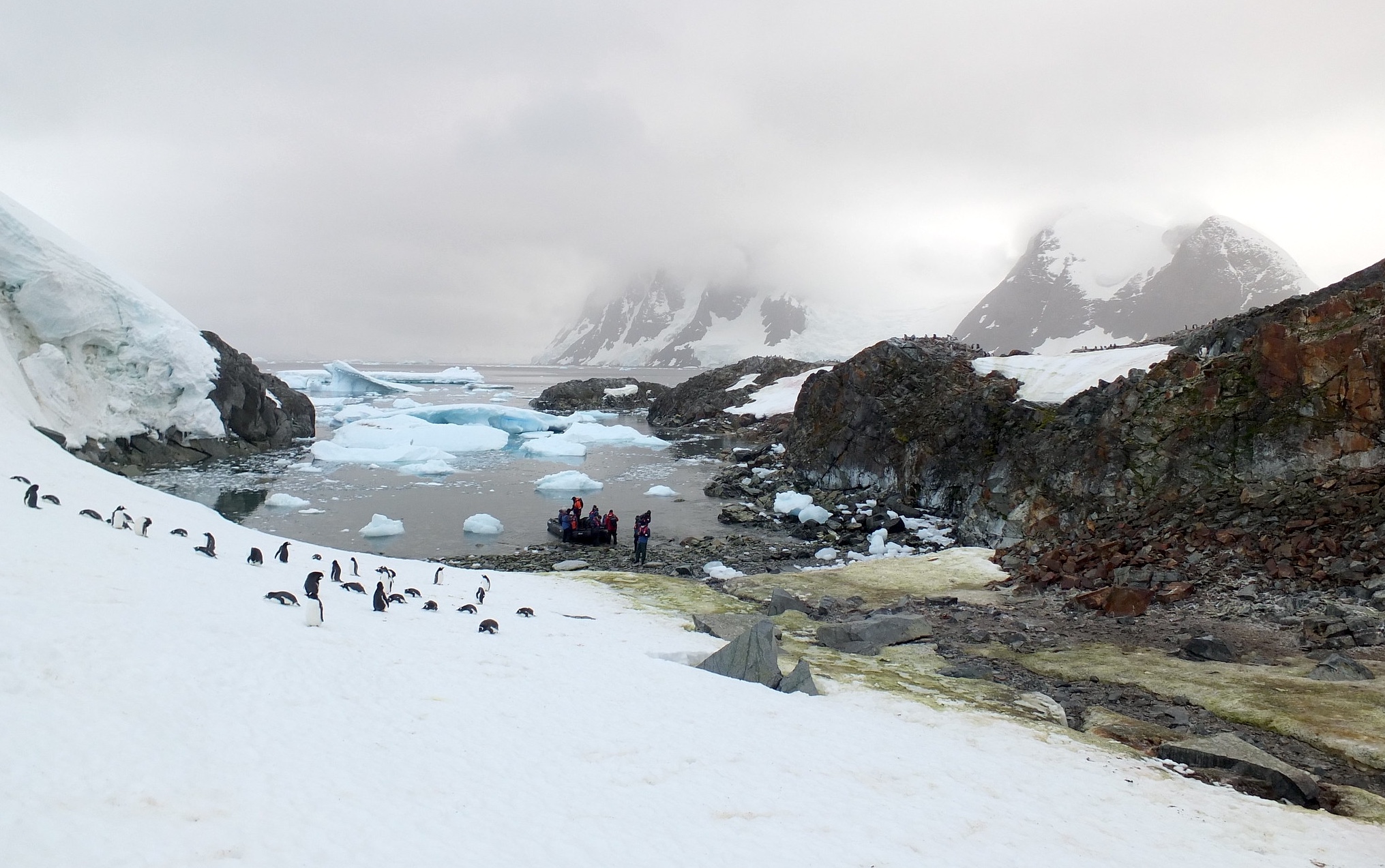 Penguins stand on a hillside as people board a zodiac boat in a bay in Antarctica