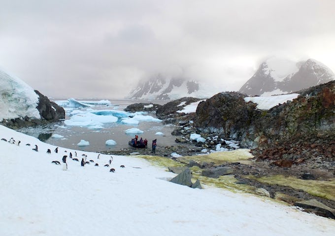 Penguins stand on a hillside as people board a zodiac boat in a bay in Antarctica