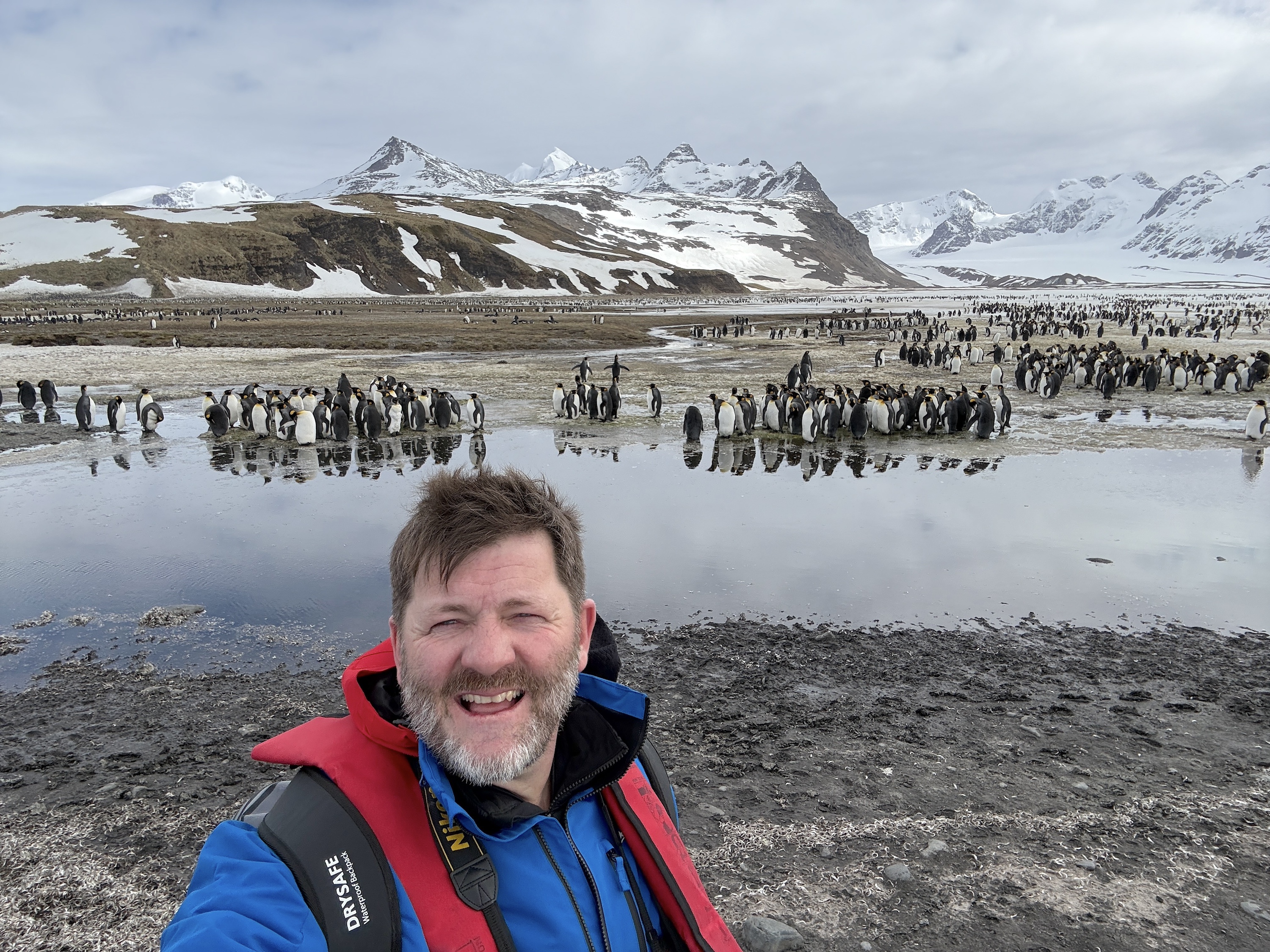 Otto from Swoop takes a selfie in front of the king penguins of Salisbury Plain