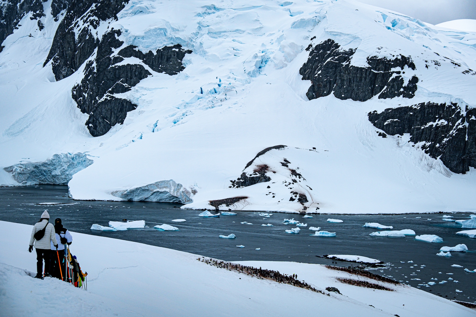 Snowshoers walk down a hill towards ice-covered water and mountains in Antarctica