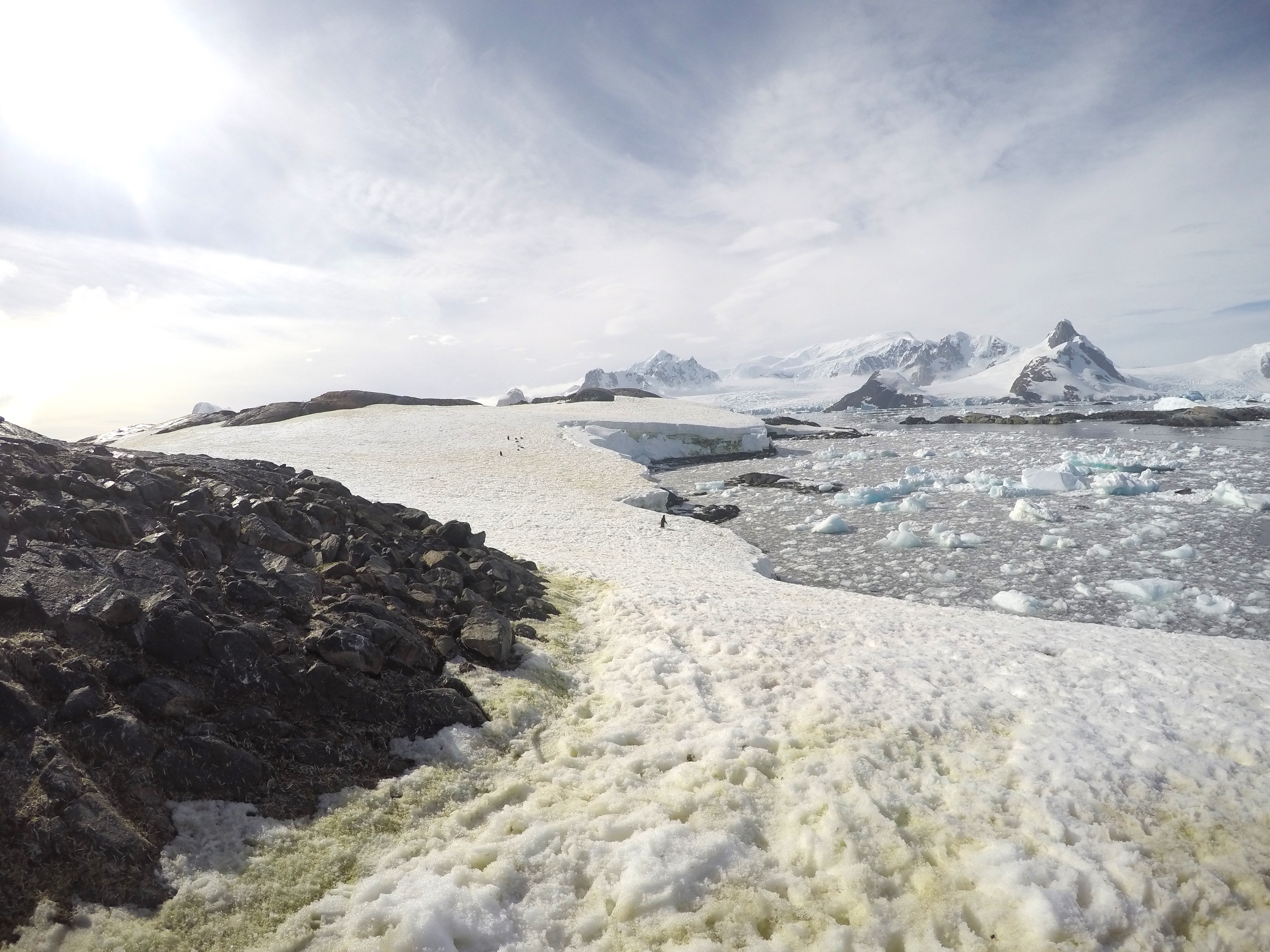 A guide to Antarctic travel