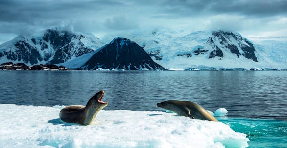 Antarctica Cruises 2018