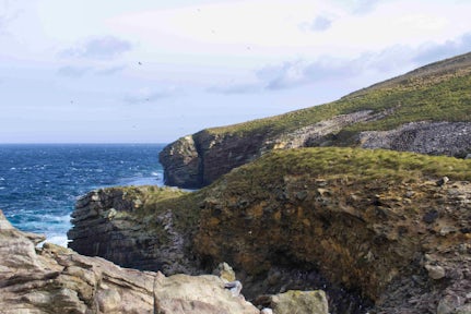 Rocky cliffs on the headland at New Island in the Falkland Islands