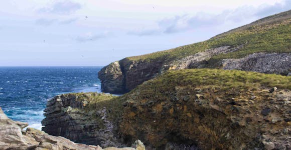 Rocky cliffs on the headland at New Island in the Falkland Islands