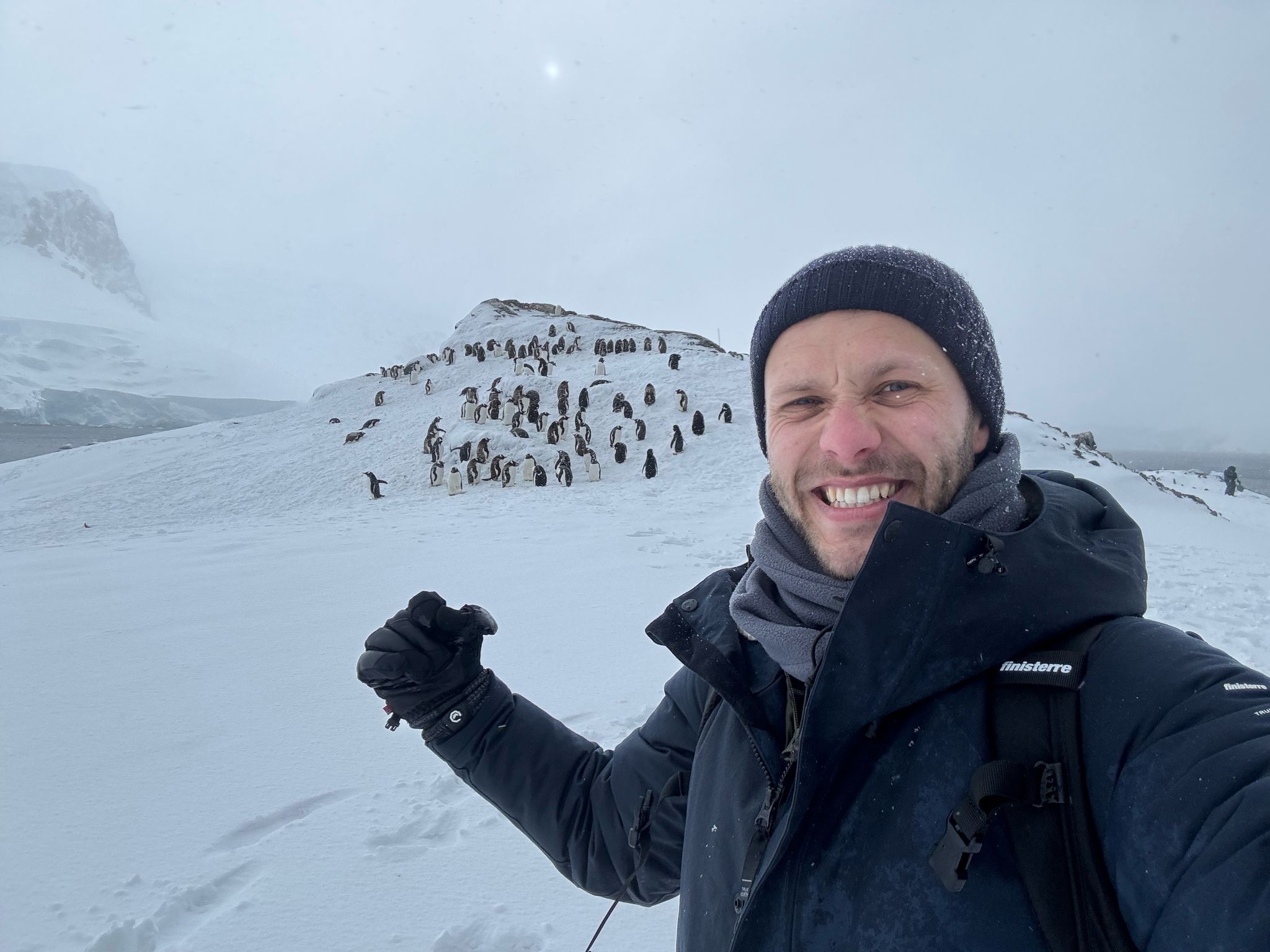 Penguins of the Far South: Falklands, South Georgia & Antarctica with special guest Billy Heaney