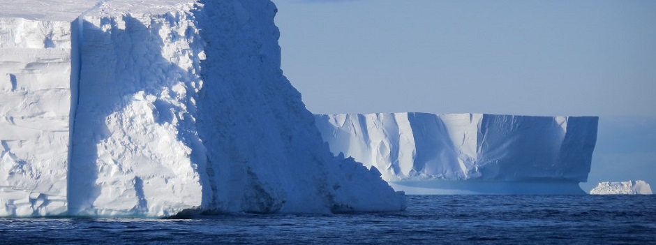 Antarctica Cruises