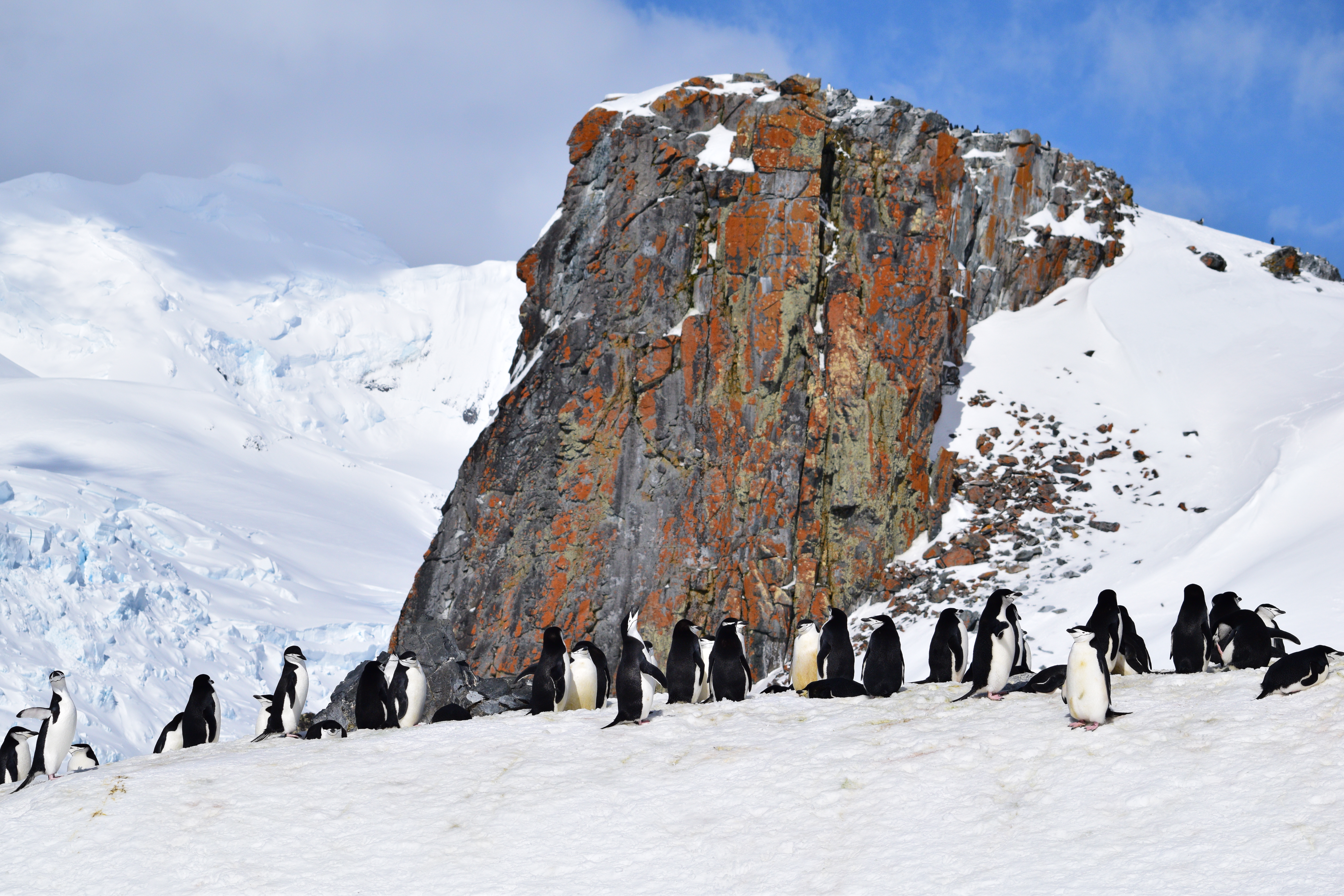 Iconic Antarctica - Extended Expedition