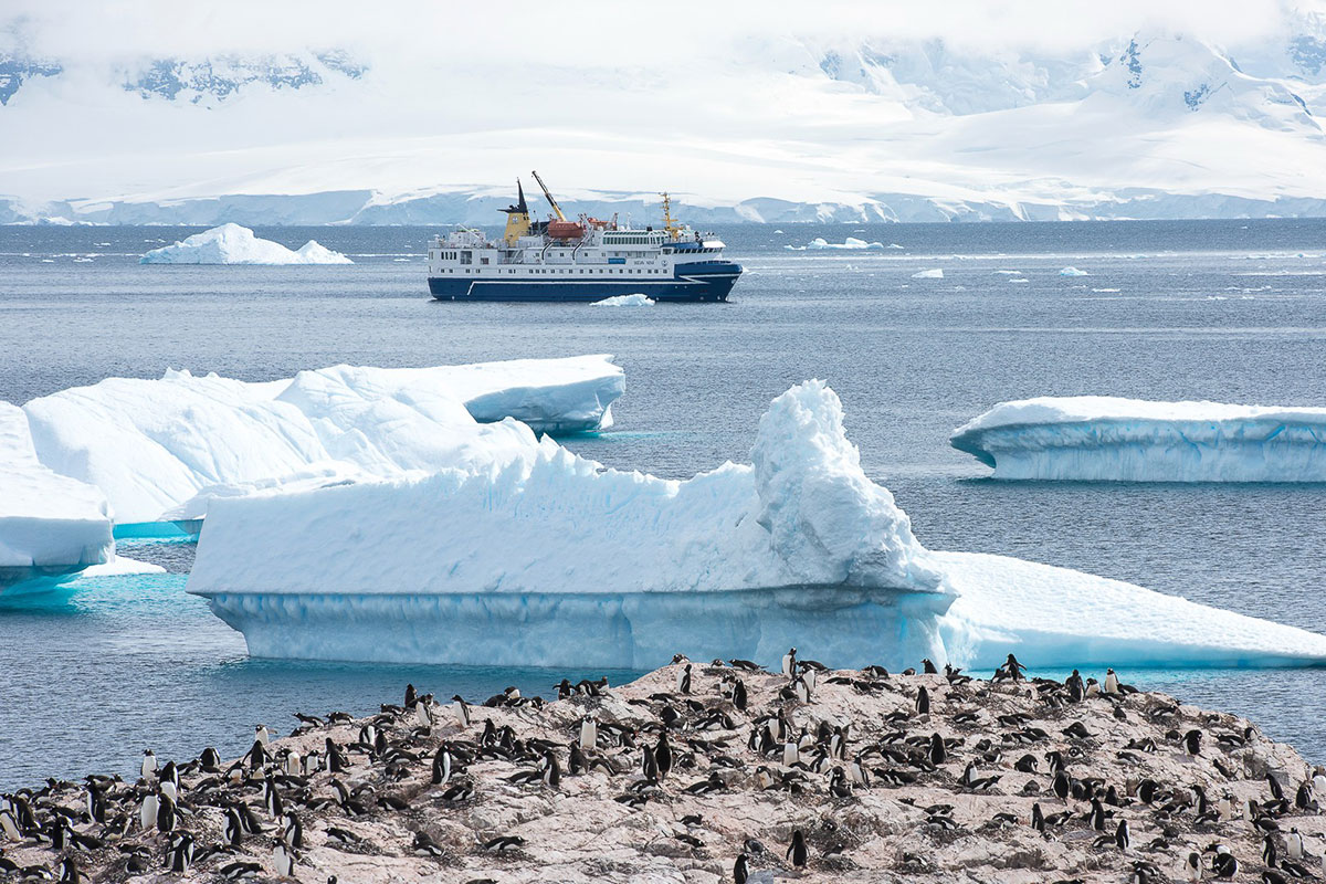 Complete Antarctica: Sail In, Fly Out