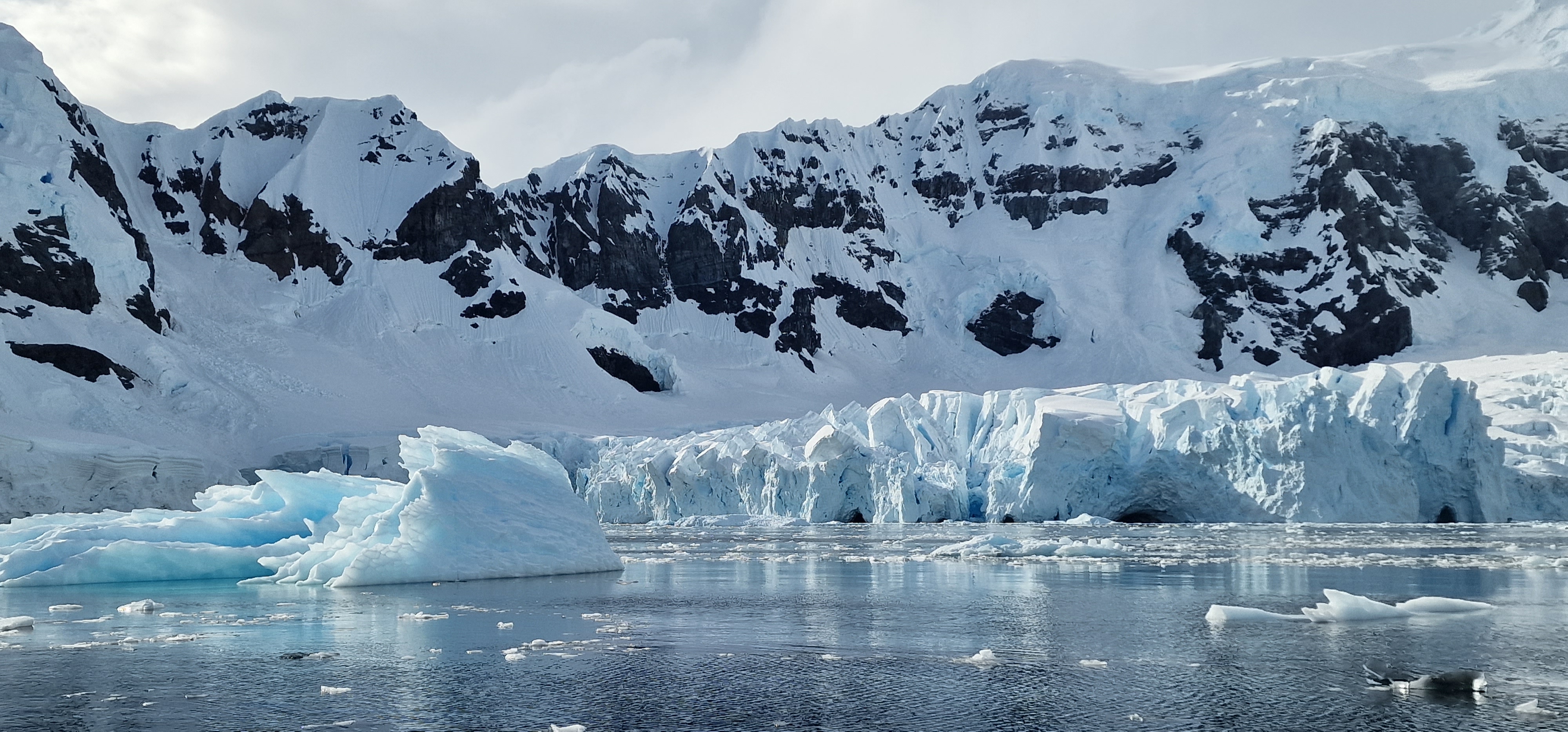 Icebergs in Wilhelmina Bay