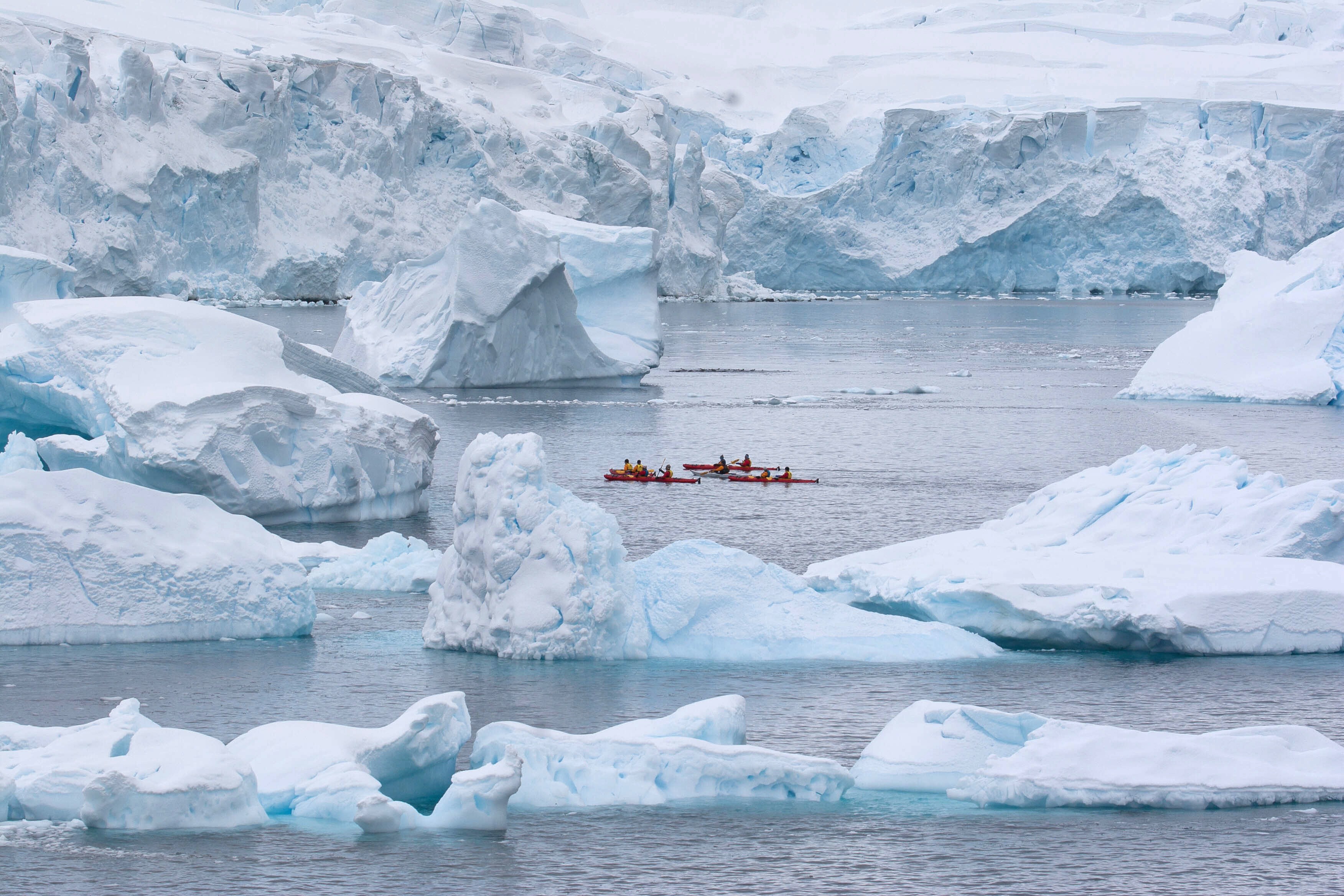 Kayaking in Antarctica