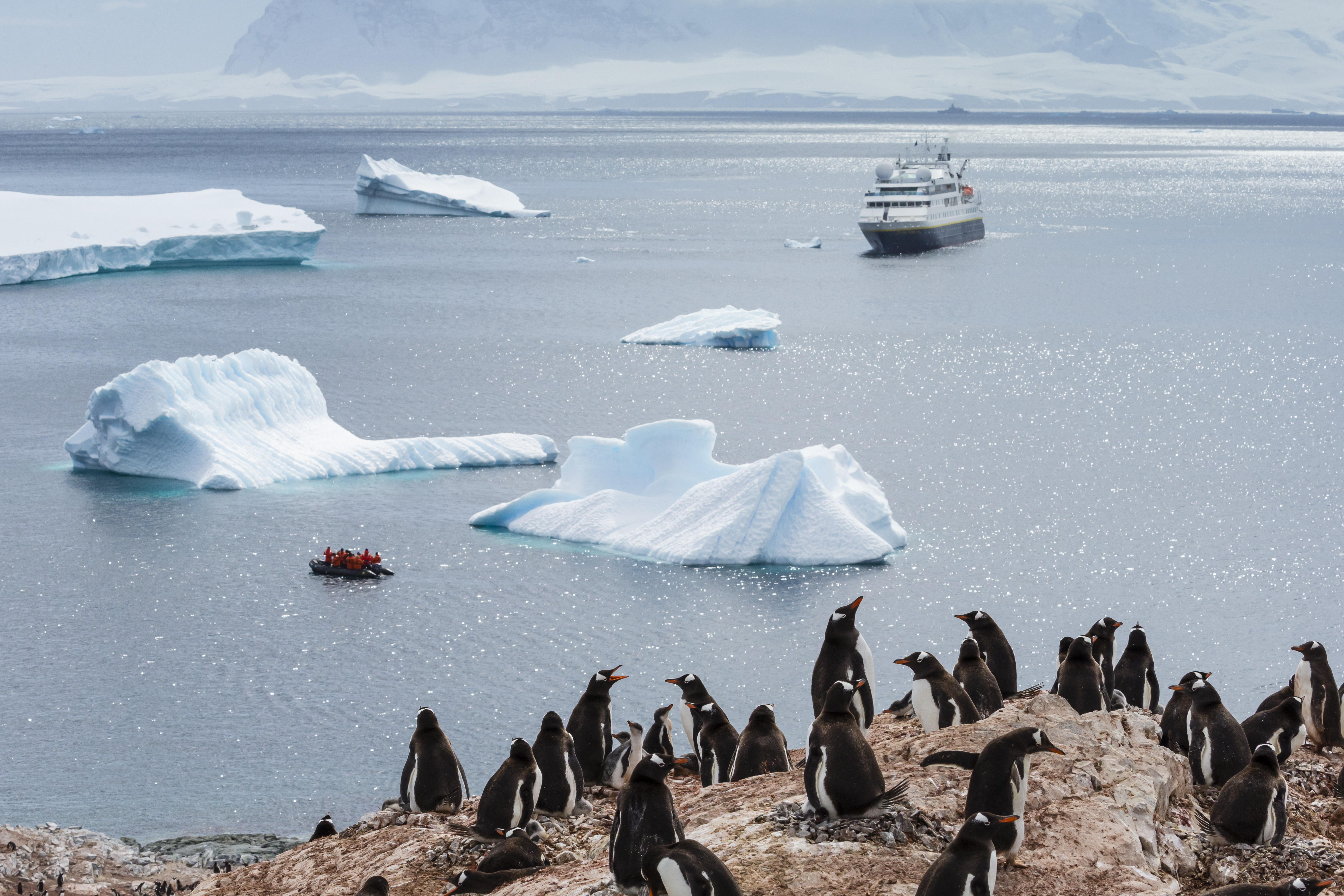 Gentoo penguins on Cuverville Island, zodiac and vessel in distance