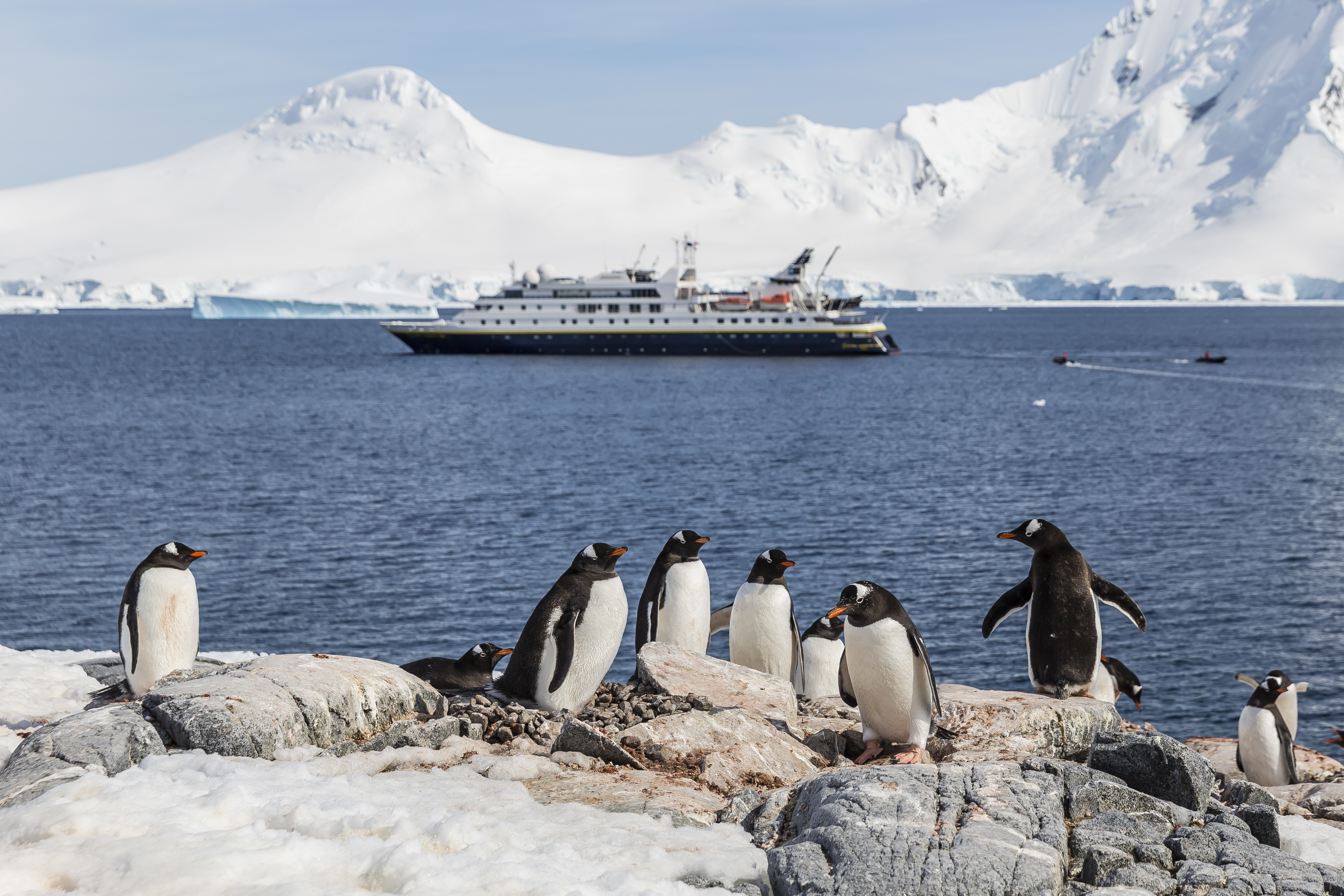 Gentoo penguins on Weincke Island, NG Orion in background