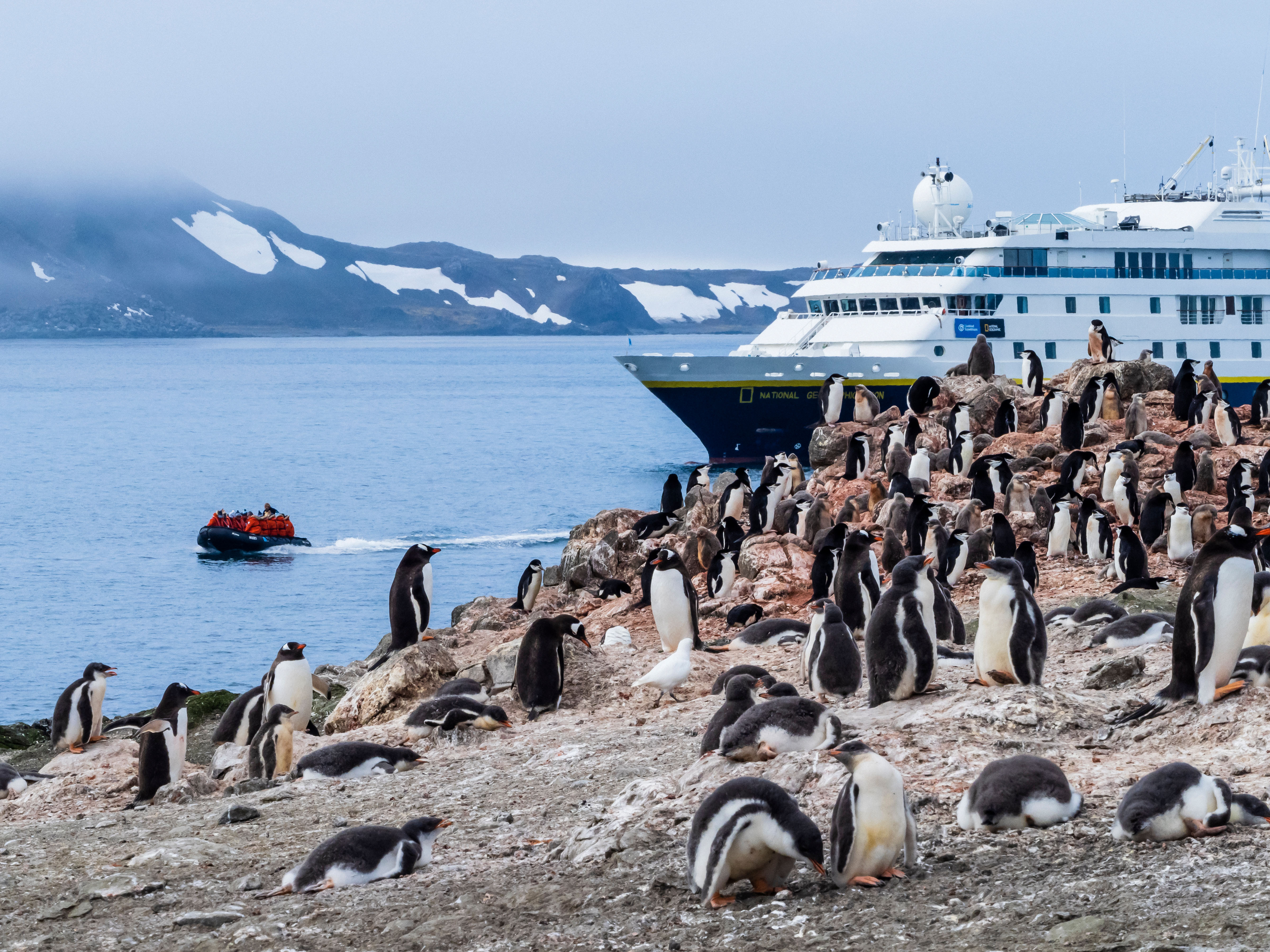 Antarctica Direct: Fly & Sail the Drake Passage (12 days)