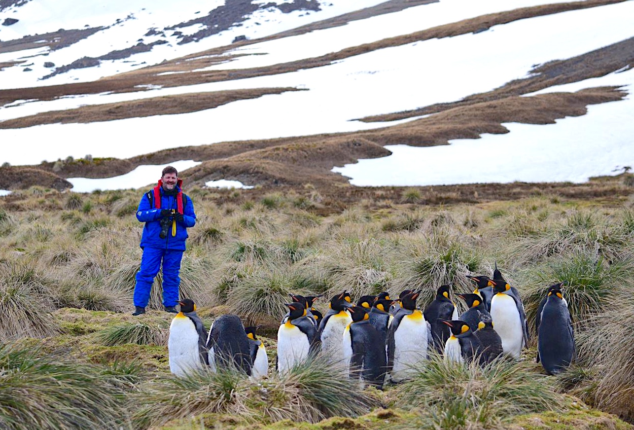 Otto viewing King Penguins at Jason Harbour
