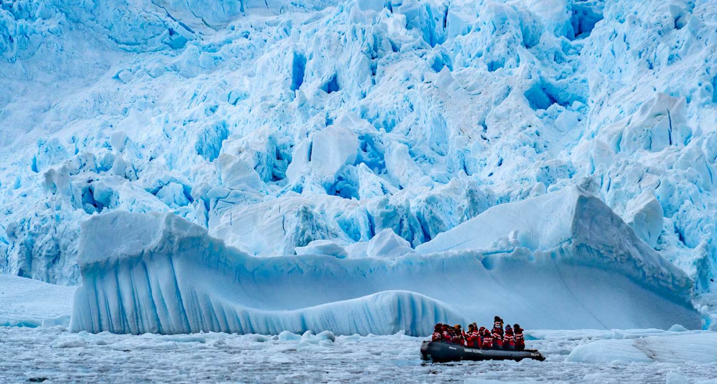 Falklands, South Georgia & Antarctica Experience