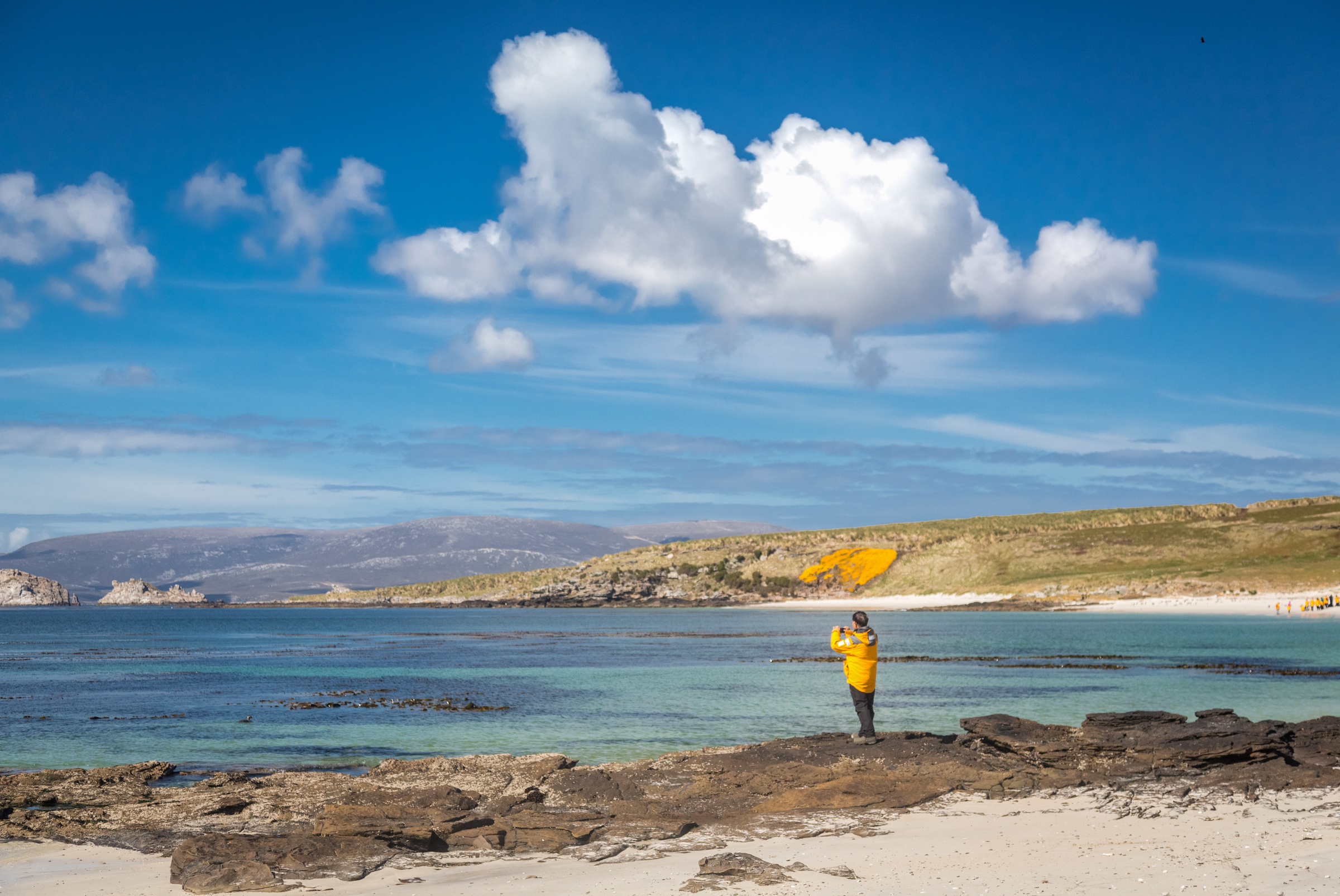 Carcass Island, the Falklands