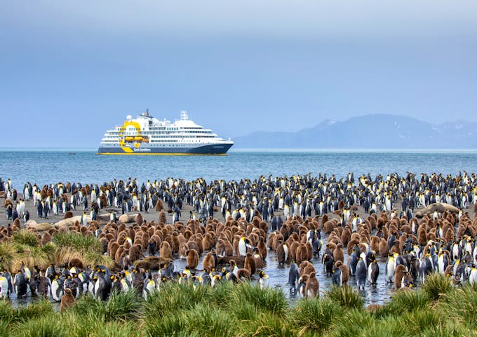 The Antarctic Ultramarine expedition ship cruises in front of thousands of king penguins at Gold Harbour, South Georgia