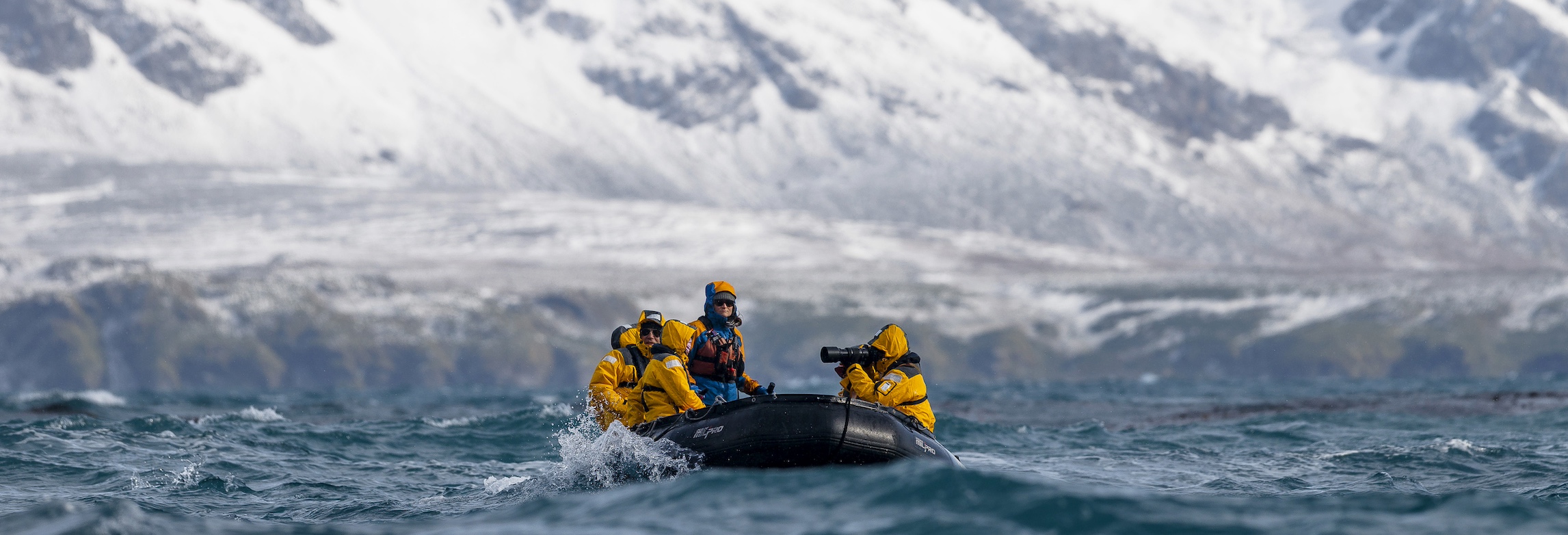 Zodiac cruising around South Georgia