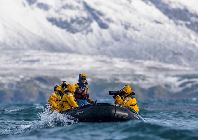 Zodiac cruising around South Georgia