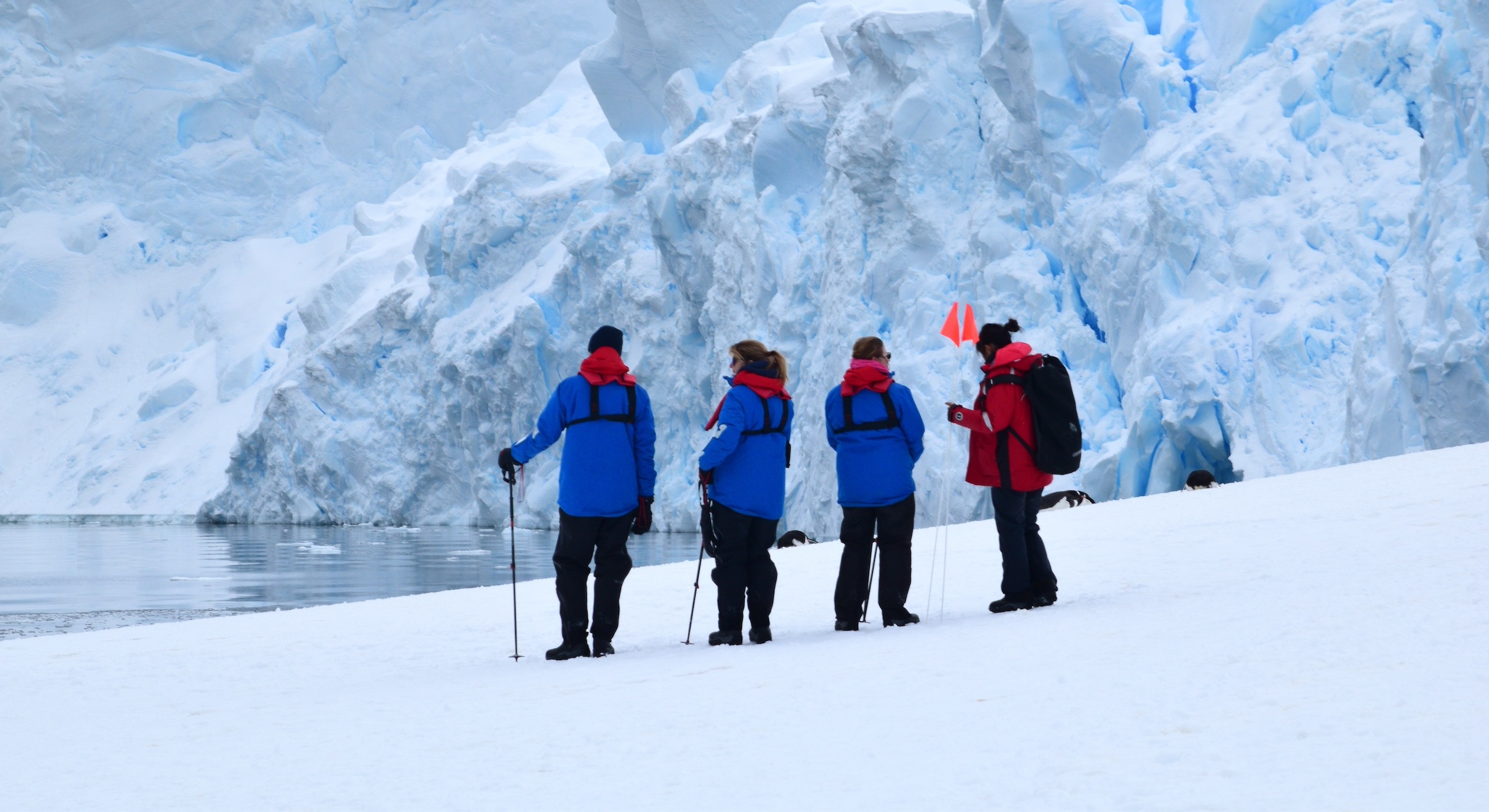 Guests admire Antarctica's glaciers